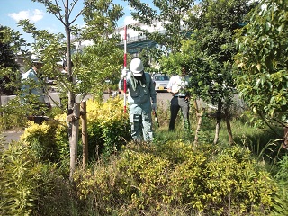 用地立会風景(写真) 用地立会風景〈写真〉
